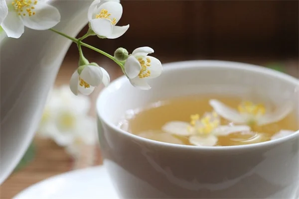 食用庭植物の選び方と育て方！私が実践する見た目も味も楽しむコツ