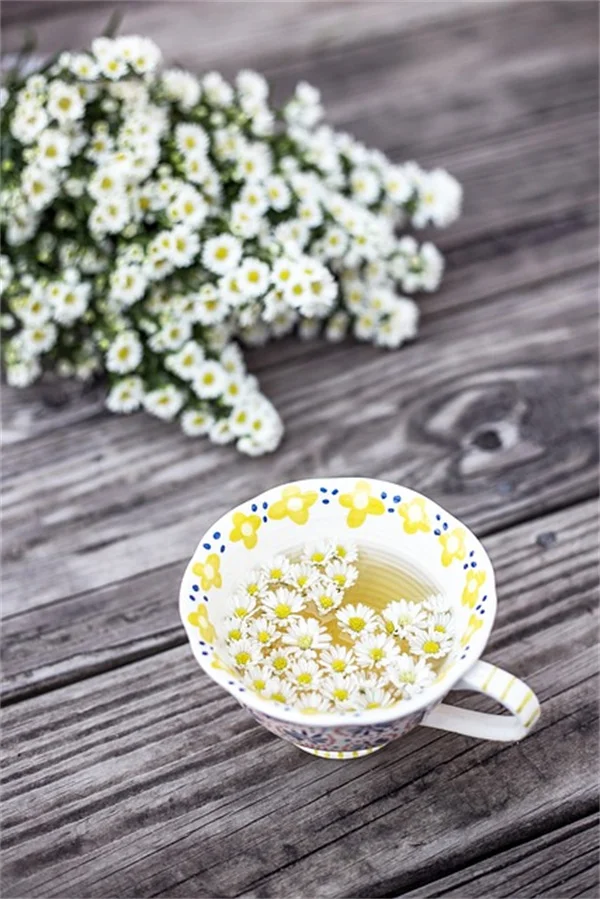 大丽花块茎を植える前に、たった1つのチェックを行うだけで無駄がなくなる