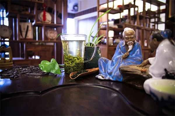 トマトの移植で失敗しないための完全ガイド｜私が実践してきた深植えとタイミングのコツ