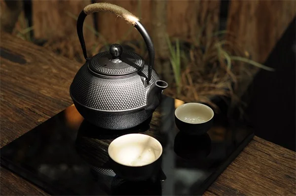 【日陰の庭】種から育てる！7つの花と失敗しないコツ
