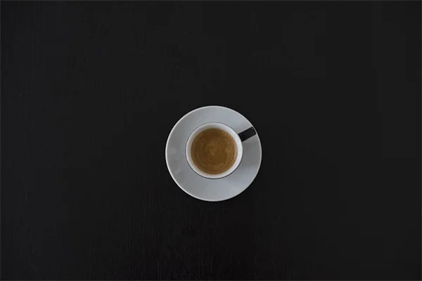 ミントの挿し木は水挿しと土挿しどっちが簡単？成功率が段違いの方法を解説