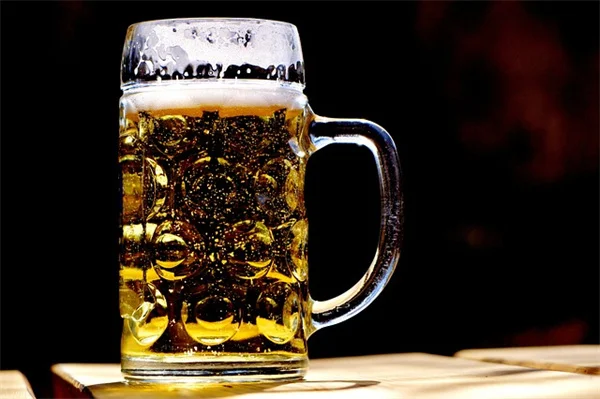 羽衣甘蓝の簡単レシピ5選！栄養を逃さない保存方法も解説